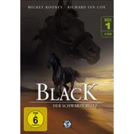DVD Black - der schwarze Blitz Box 1 4 DVD's