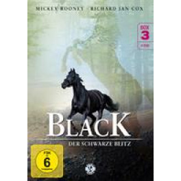 DVD Black - der schwarze Blitz Box 3 4 DVD's