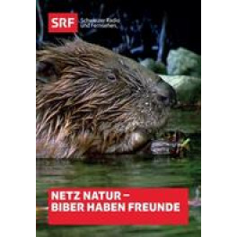 DVD Biber haben Freunde - SRF Doku Netz Natur