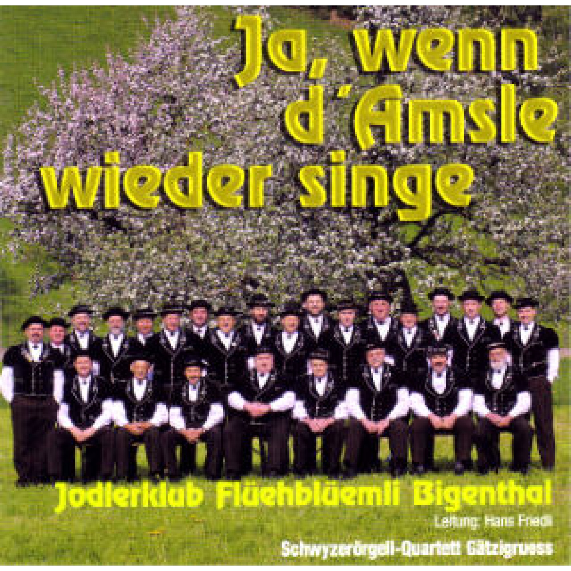 CD Ja, wenn d'Amsle wieder singe - Jodlerklub Flüehblüemli Bigenthal CD Ja, wenn d'Amsle wieder singe - Jodlerklub Flüehblüemli Bigenthal