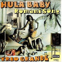Occ. Single Vinyl: Trio Grande - Hula Baby