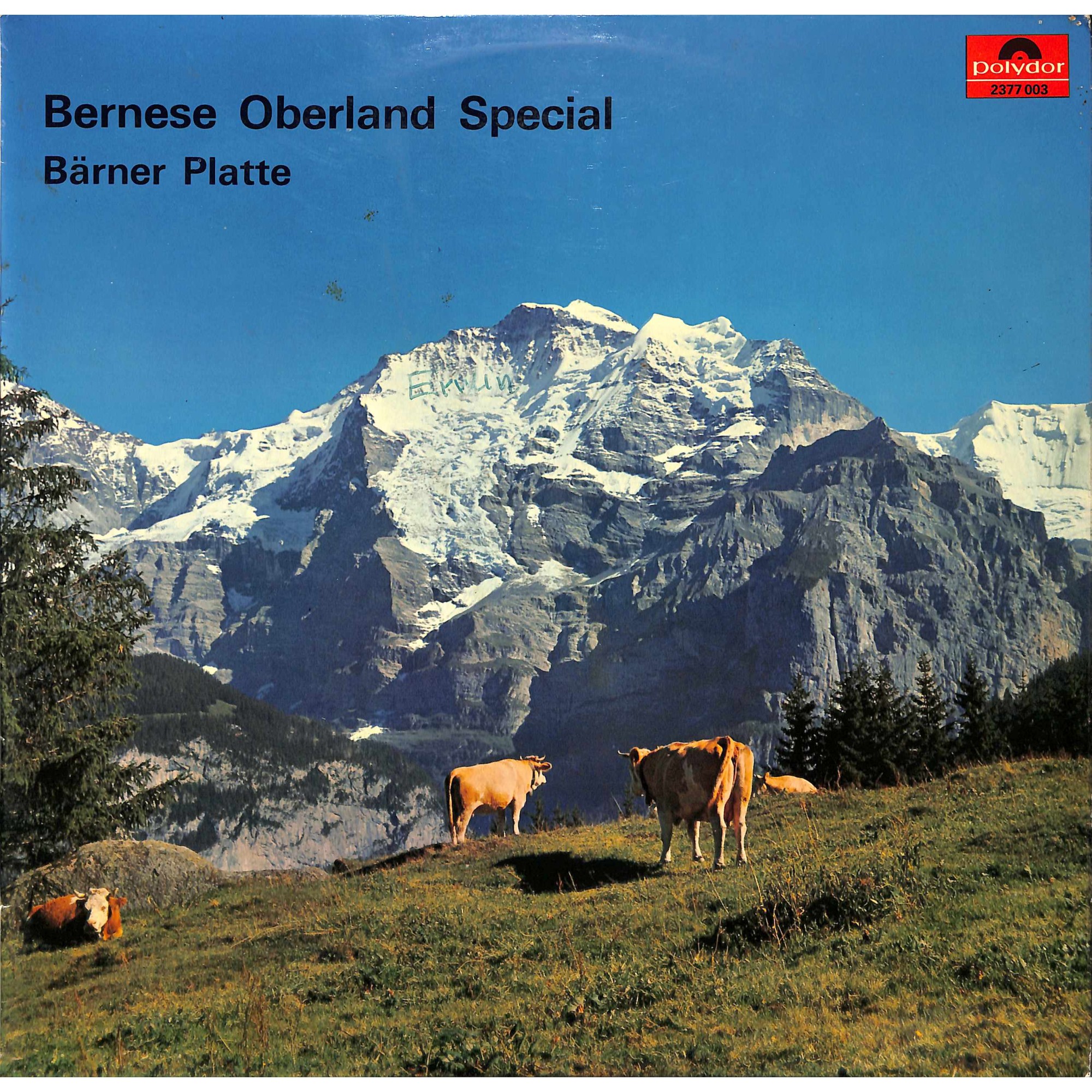 CD-Kopie von Vinyl: Bernese Oberland Special - Bärner Platte - diverse CD-Kopie von Vinyl: Bernese Oberland Special - Bärner Platte - diverse