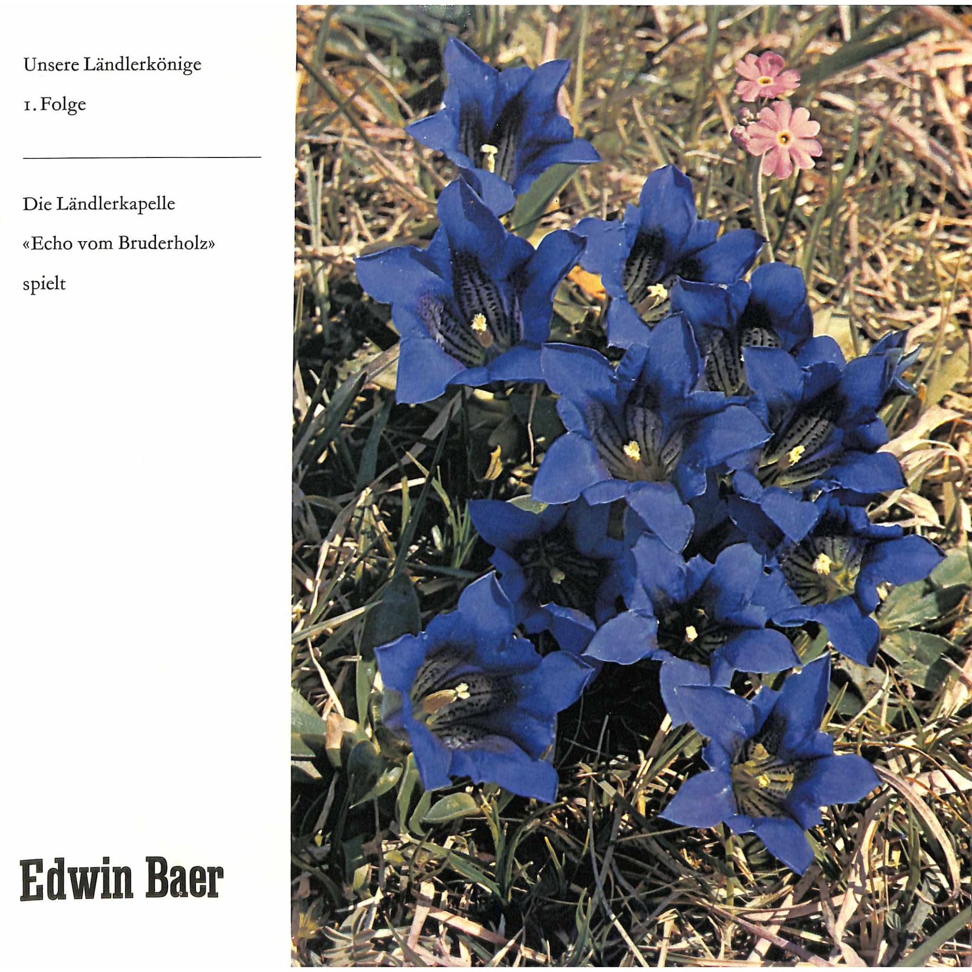 CD-Kopie von Vinyl: Die Ländlerkapelle «Echo Vom Bruderholz» – Spielt Edwin Baer - 1 Folge CD-Kopie von Vinyl: Die Ländlerkapelle «Echo Vom Bruderholz» – Spielt Edwin Baer - 1 Folge