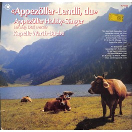 CD-Kopie von Vinyl: Appezöller Hobby-Sänger, Kapelle Warth-Buebe – Appezöller-Lendli, Du CD-Kopie von Vinyl: Appezöller Hobby-Sänger, Kapelle Warth-Buebe – Appezöller-Lendli, Du