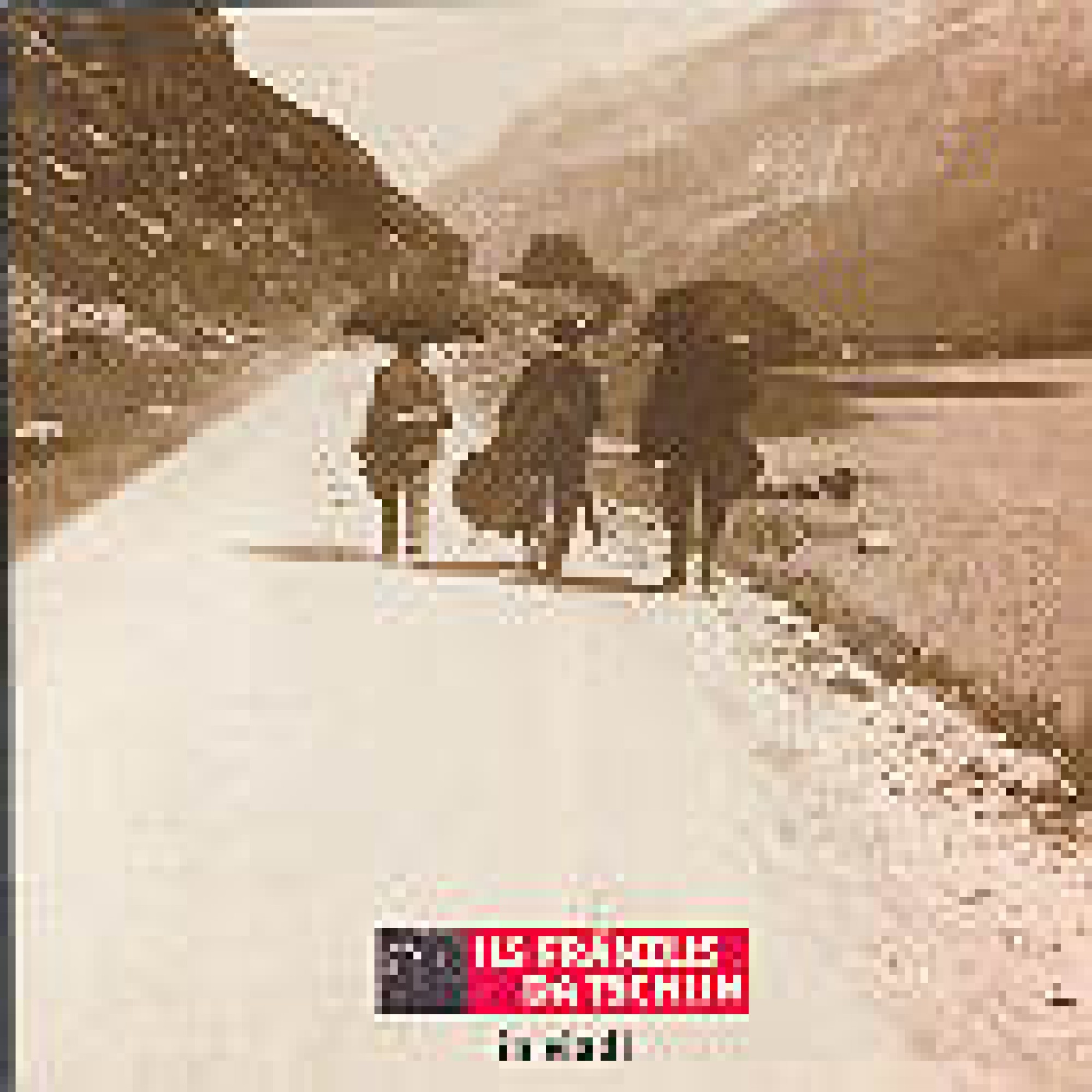CD in viadi - Ils Fränzlis da Tschlin CD in viadi - Ils Fränzlis da Tschlin