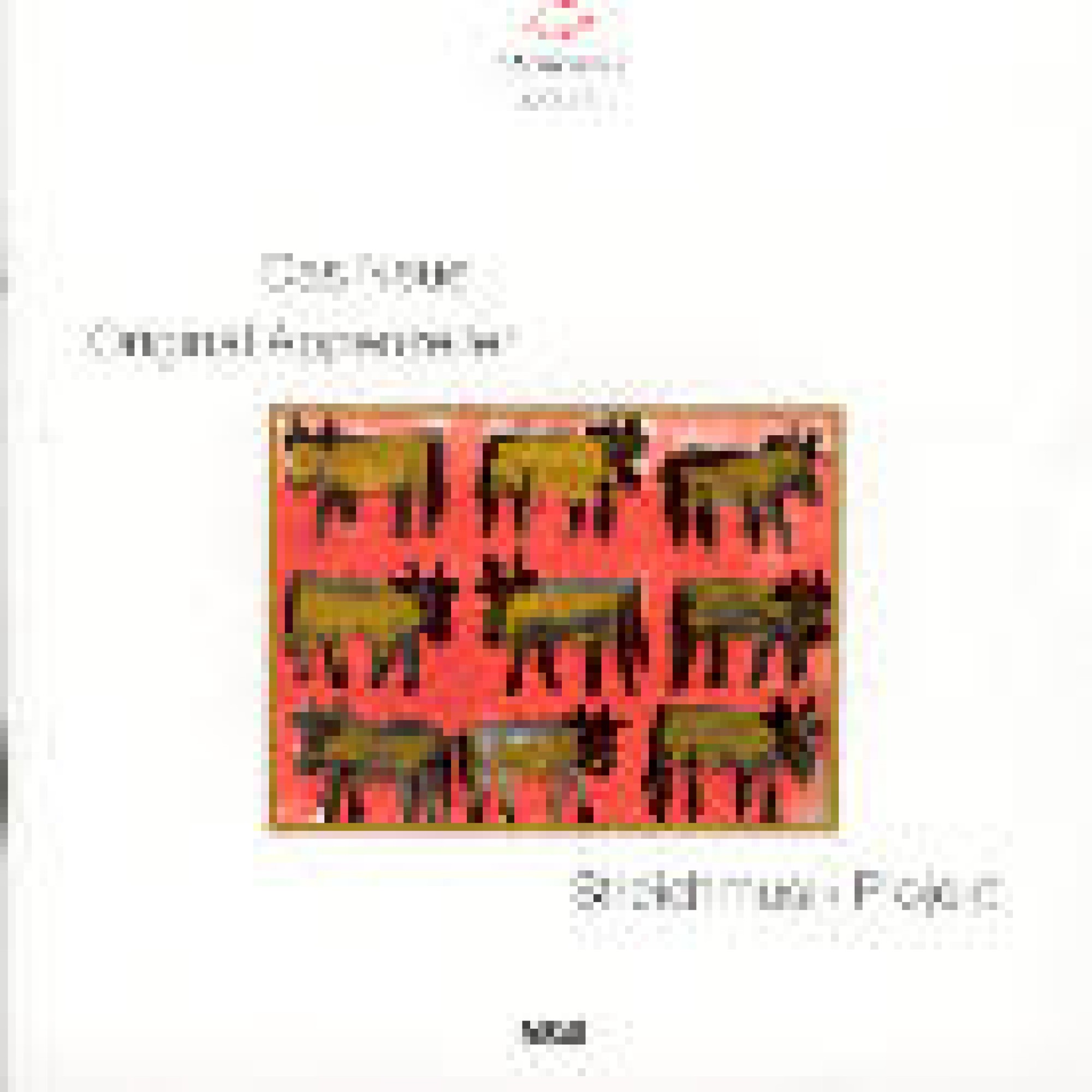 CD Appenzeller Streichmusik - Giger / neue Orig. App. Strichmusi CD Appenzeller Streichmusik - Giger / neue Orig. App. Strichmusi