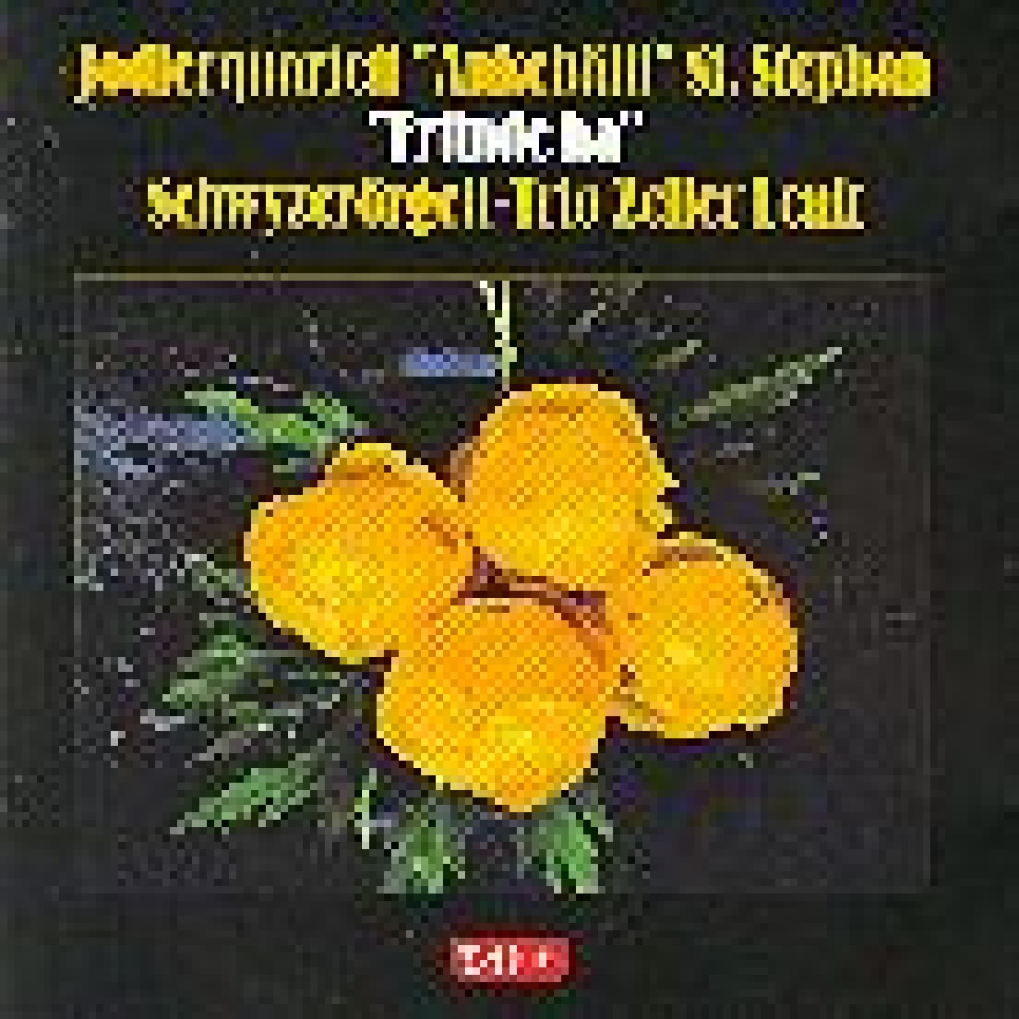 CD Fründe ha, Jodlerquartett Ankebälli St Stephan CD Fründe ha, Jodlerquartett Ankebälli St Stephan