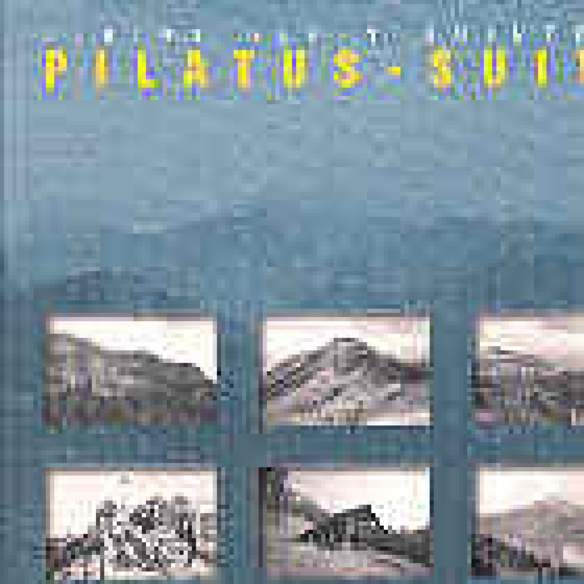 CD Pilatus Suite - Albin Brun CD Pilatus Suite - Albin Brun