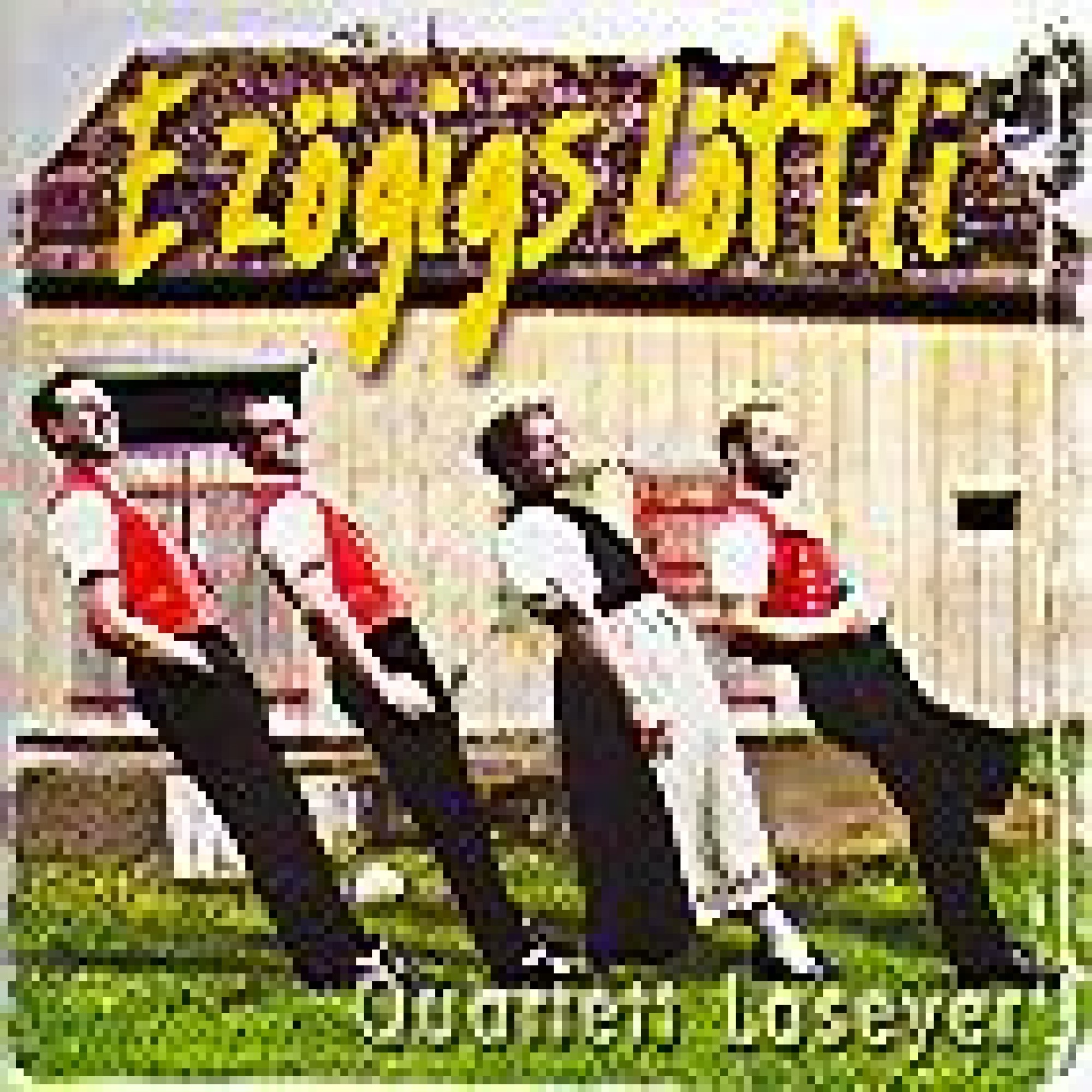 CD e zögigs Löftli - Lasayer Quartett CD e zögigs Löftli - Lasayer Quartett