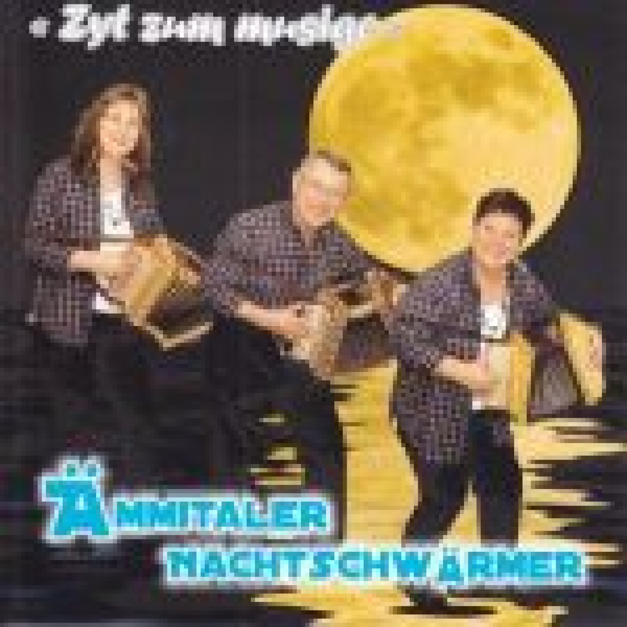 CD Zyt zum Musige - Ämmitaler Nachtschwärmer CD Zyt zum Musige - Ämmitaler Nachtschwärmer