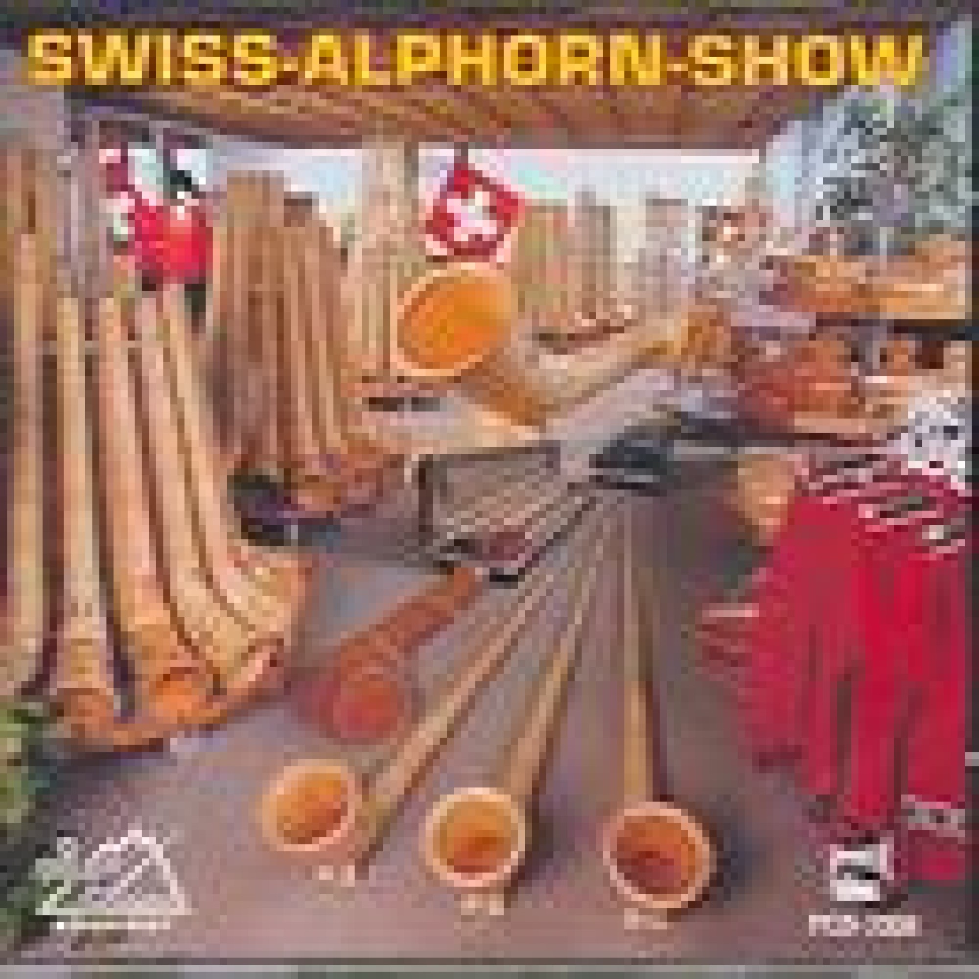 CD Swiss Alphorn Show - Diverse CD Swiss Alphorn Show - Diverse