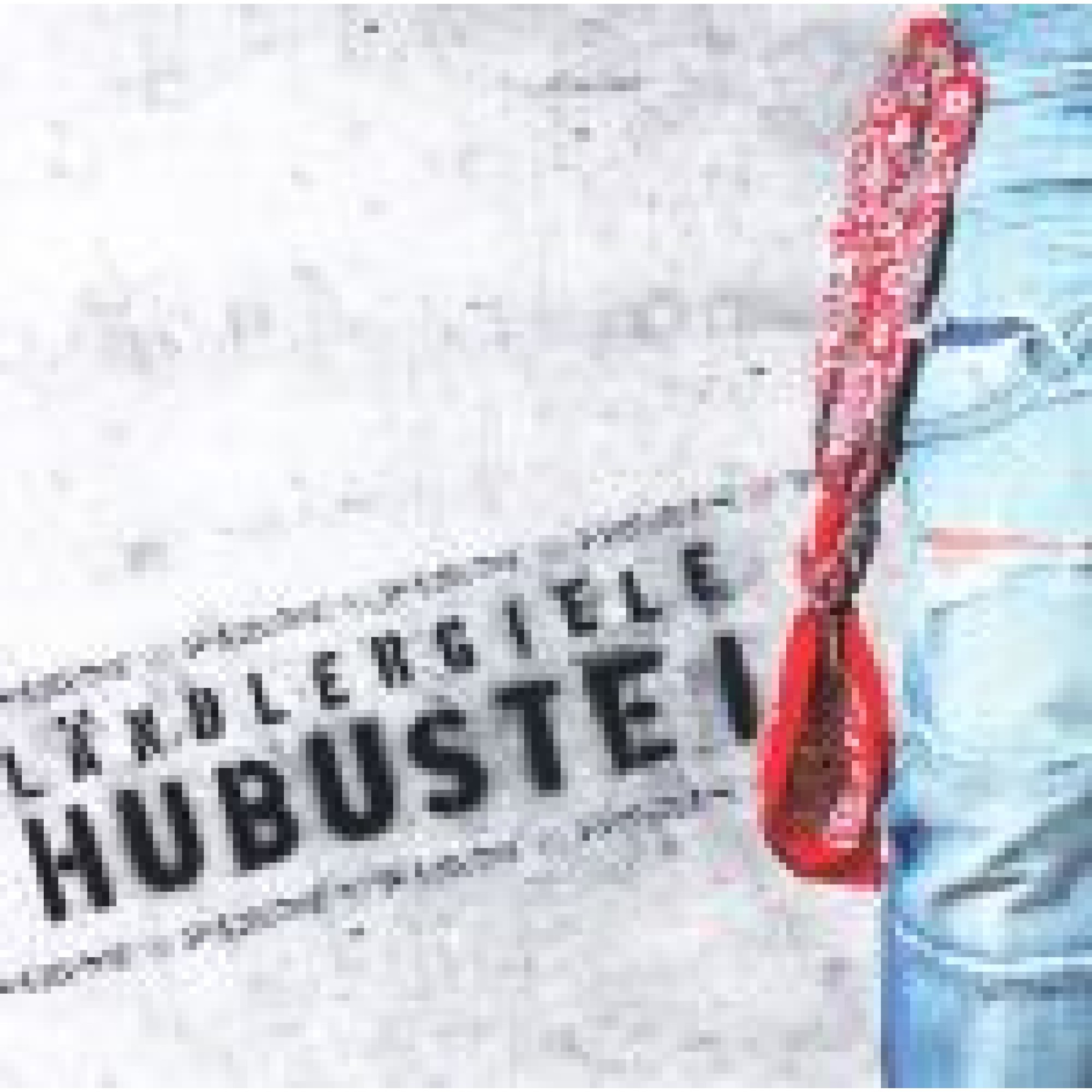 CD 20 Jahre Ländlergiele Hubustei CD 20 Jahre Ländlergiele Hubustei