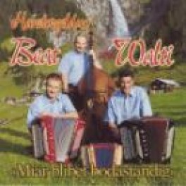 CD Miär blibet bodäständig, Handorgelduo Beat & Walti