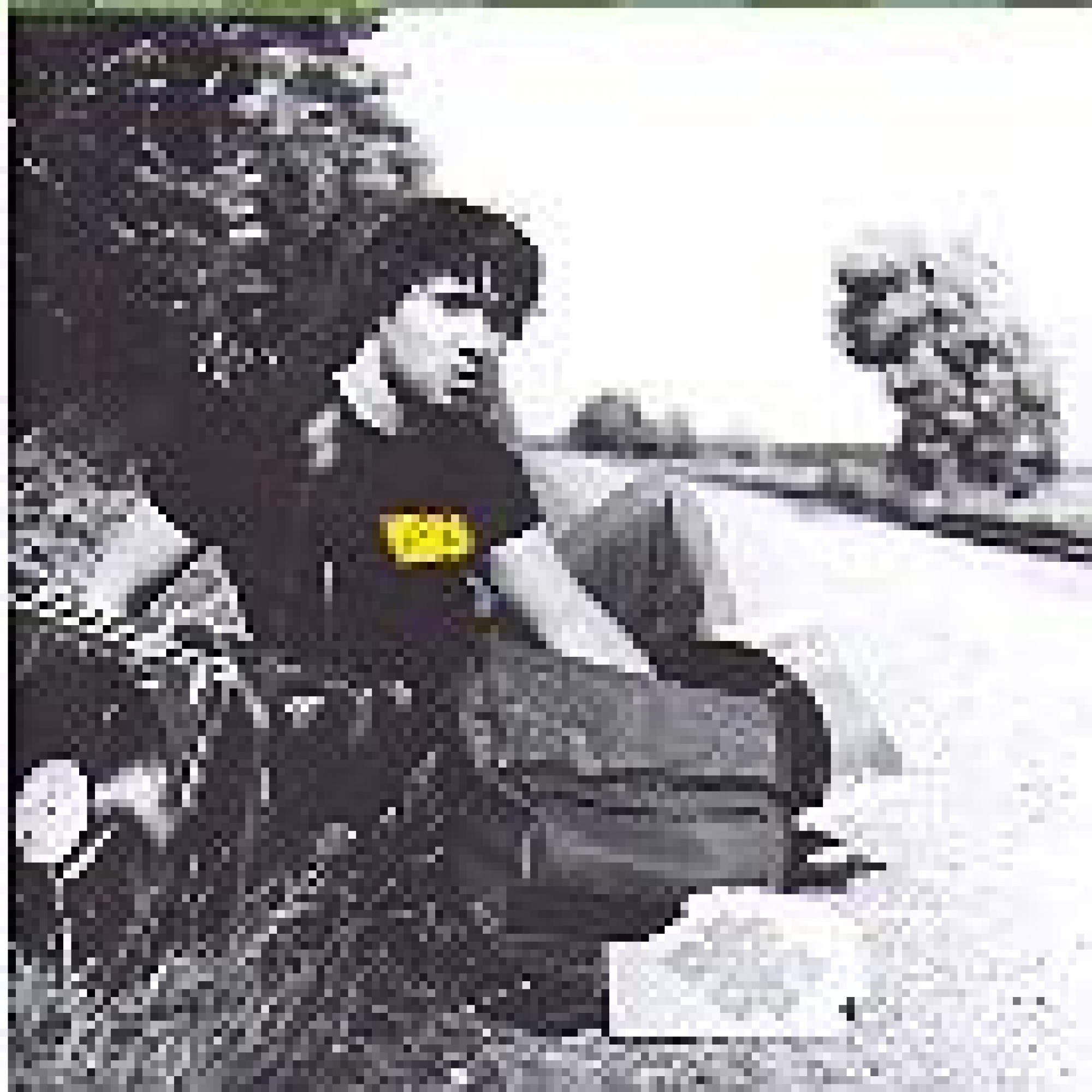 CD Vias - Mario Pacchioli CD Vias - Mario Pacchioli