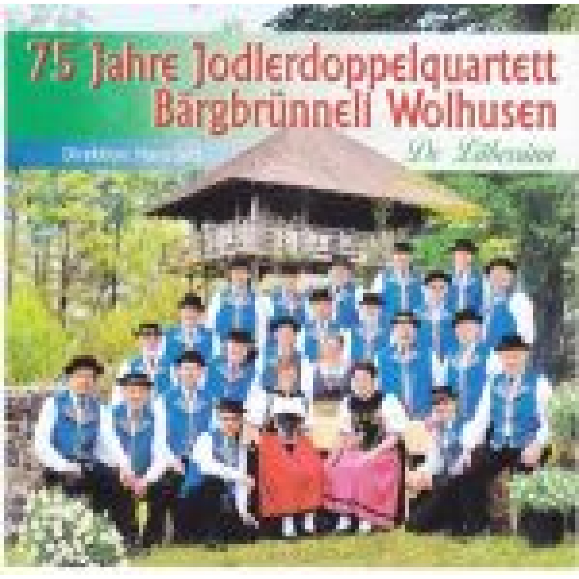 CD De Läbessinn - Jodlerdoppelquartett Bärgbrünneli Wolhusen CD De Läbessinn - Jodlerdoppelquartett Bärgbrünneli Wolhusen