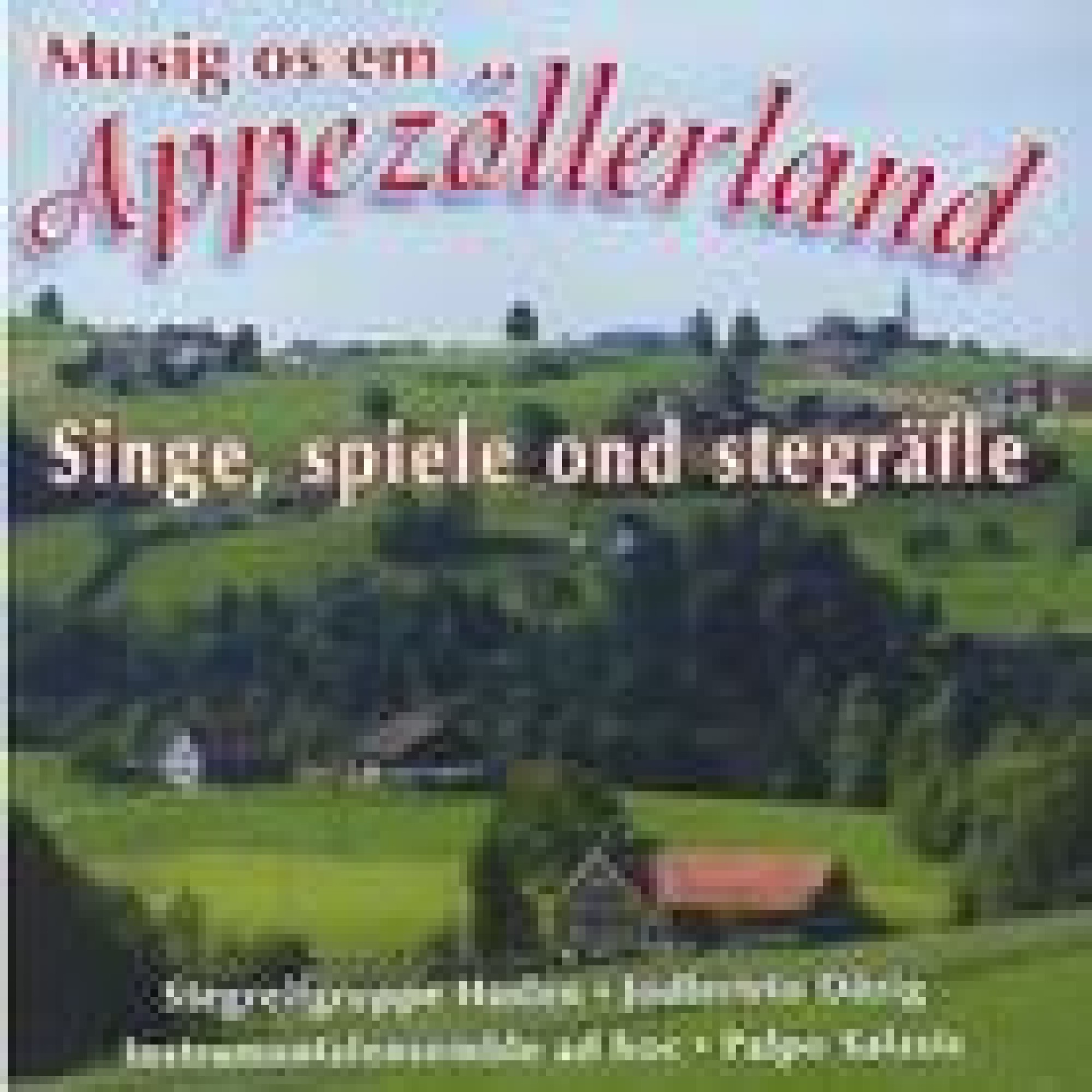 CD singe spiele ond stegräfle - Musig os em Appezöll - diverse CD singe spiele ond stegräfle - Musig os em Appezöll - diverse