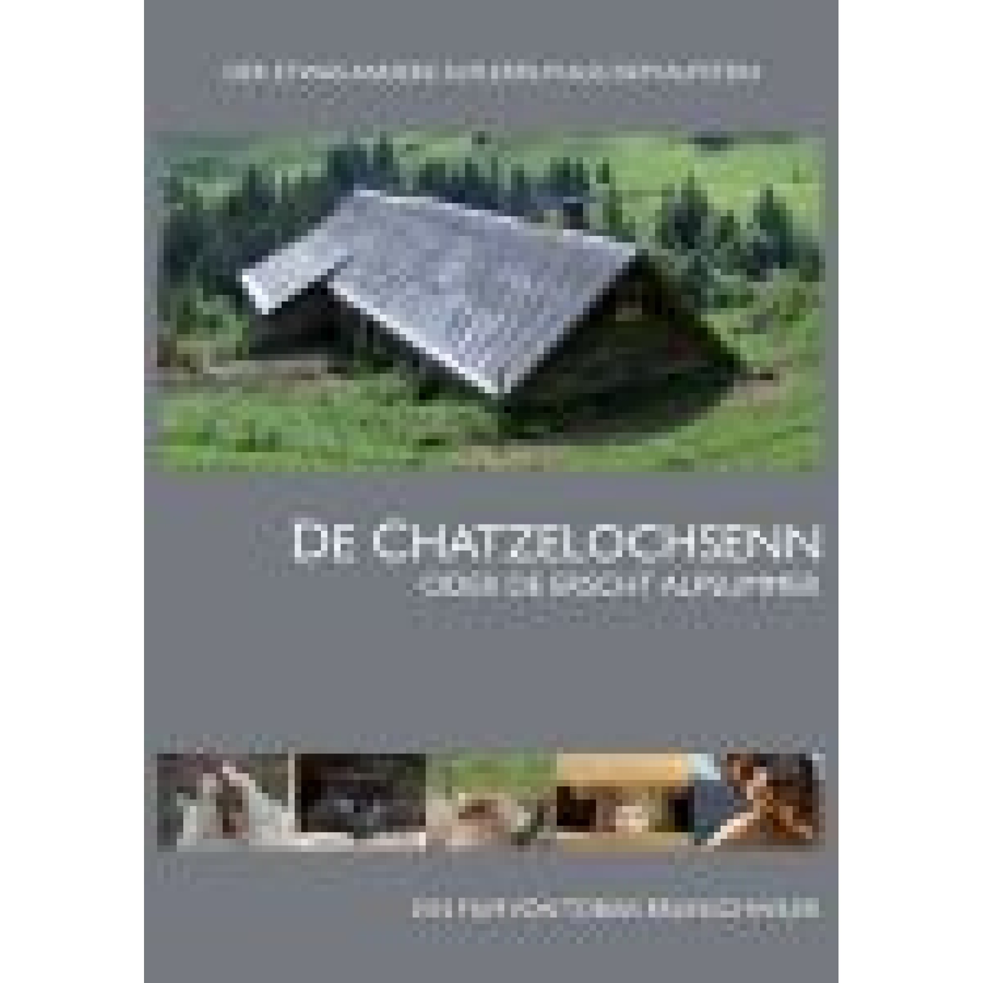DVD De Chatzelochsenn - Älpler Doku DVD De Chatzelochsenn - Älpler Doku