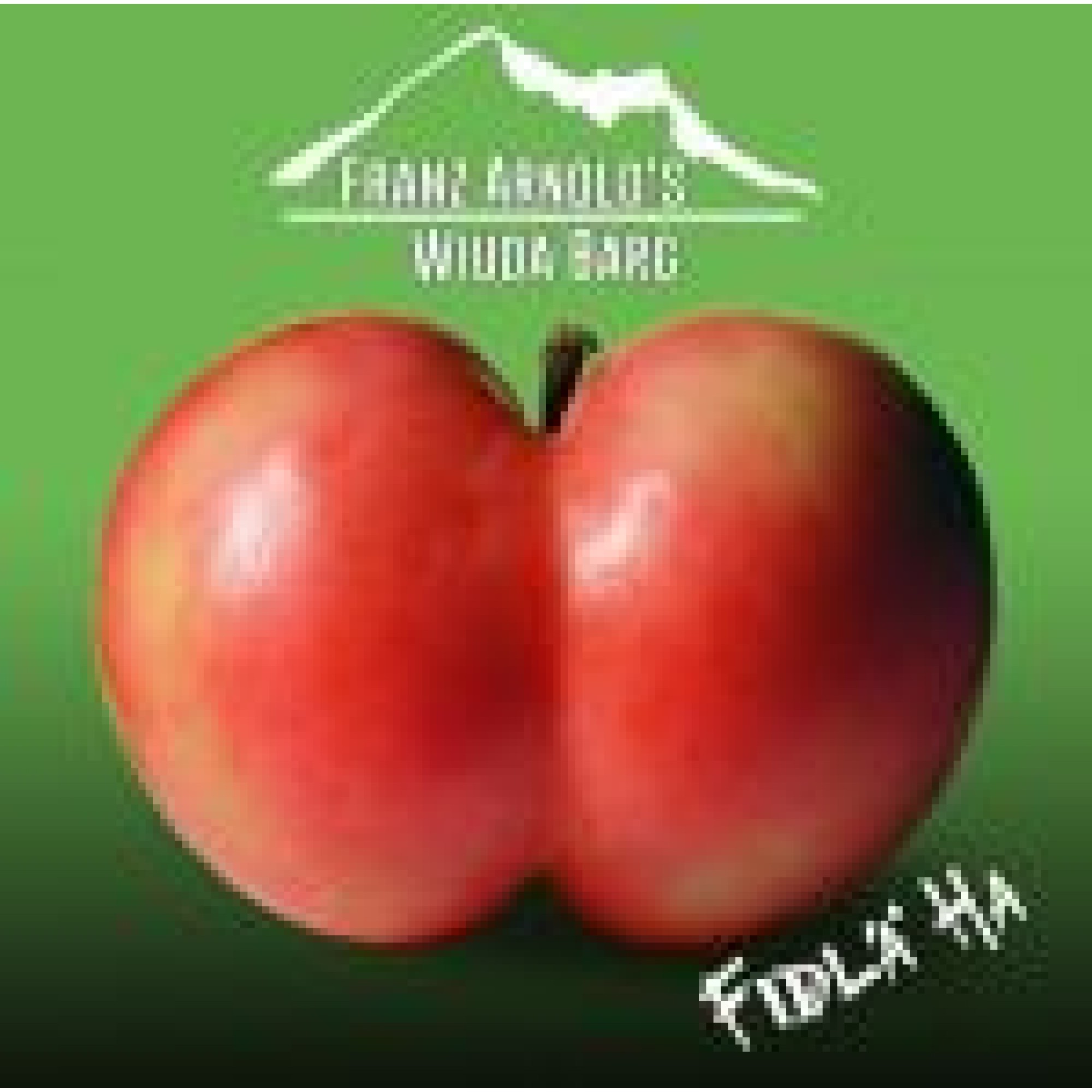CD Fidlä ha - Franz Arnold's Wiudä Bärg CD Fidlä ha - Franz Arnold's Wiudä Bärg