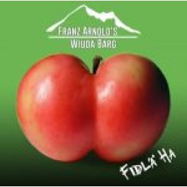 CD Fidlä ha - Franz Arnold's Wiudä Bärg