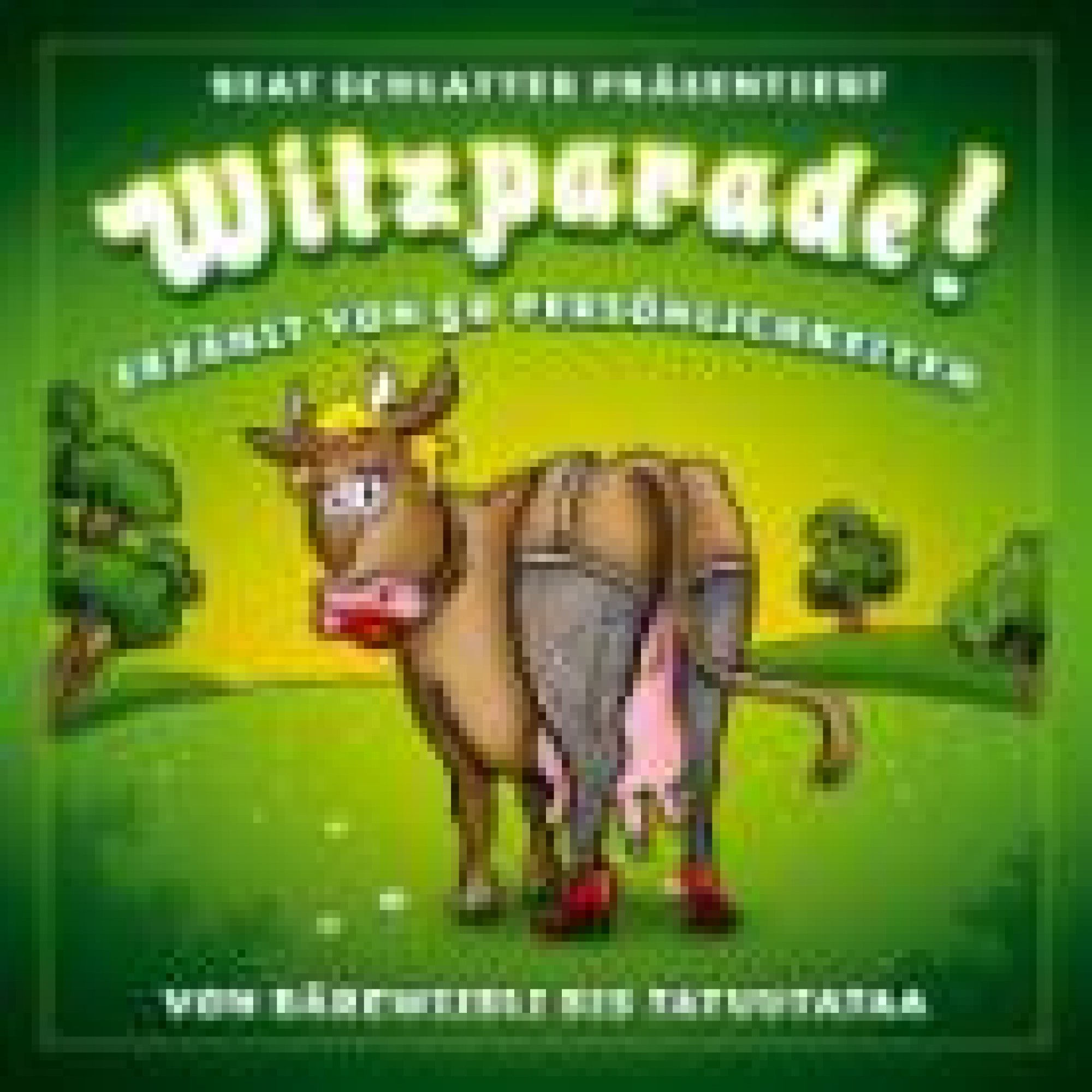 CD Witzparade von Beat Schlatter CD Witzparade von Beat Schlatter