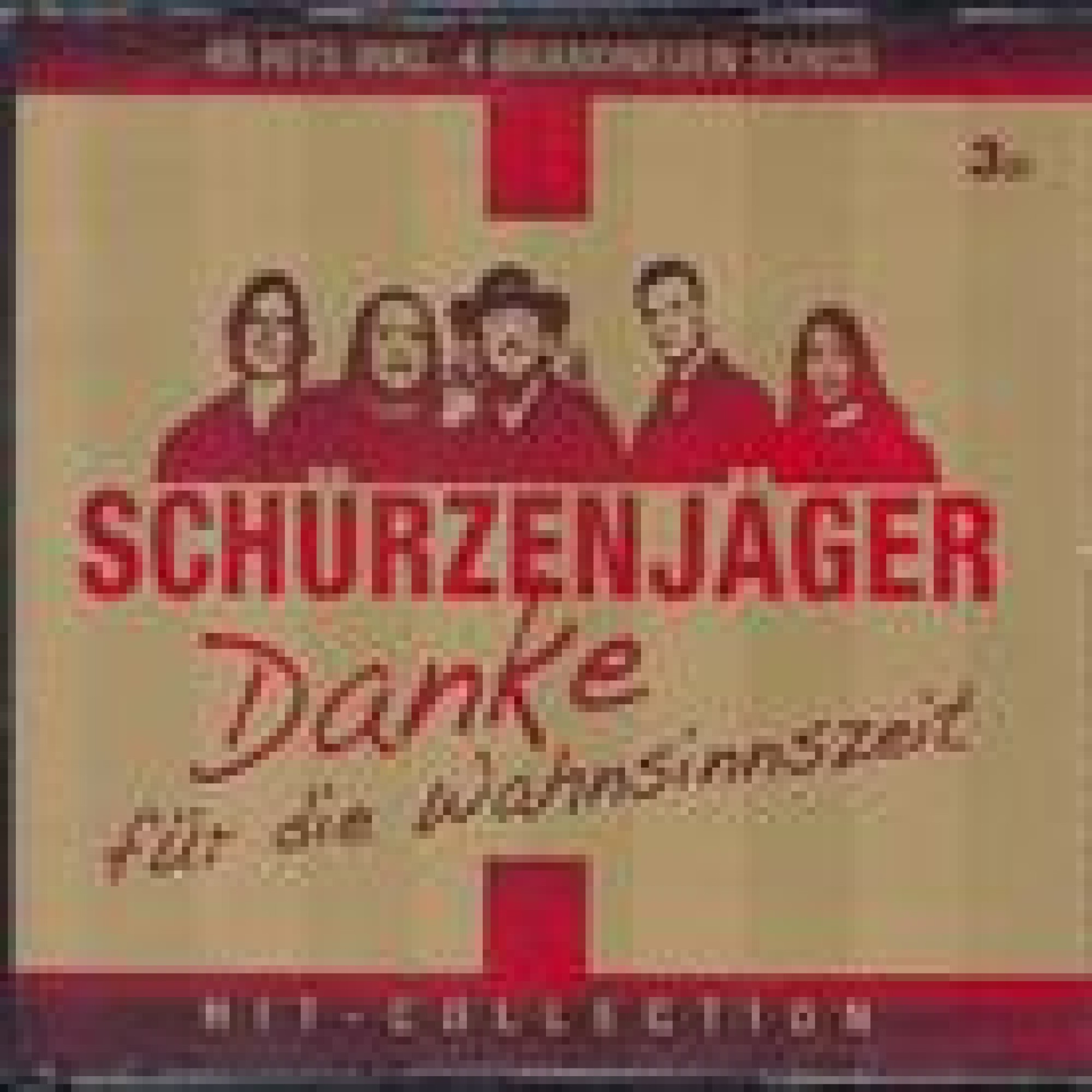 CD Danke für die Wahnsinnszeit - Schürzenjäger 3CD-Box CD Danke für die Wahnsinnszeit - Schürzenjäger 3CD-Box
