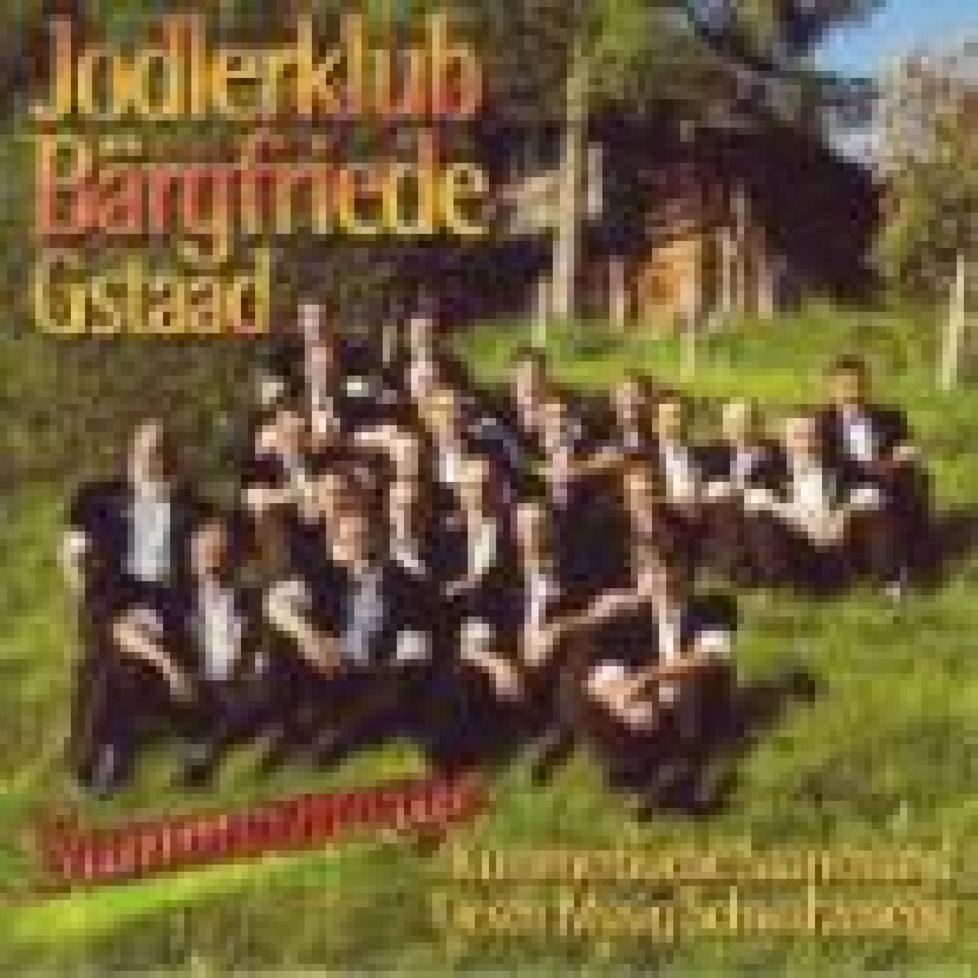 CD Summermorge - Jodlerklub Bärgfriede Gstaad CD Summermorge - Jodlerklub Bärgfriede Gstaad