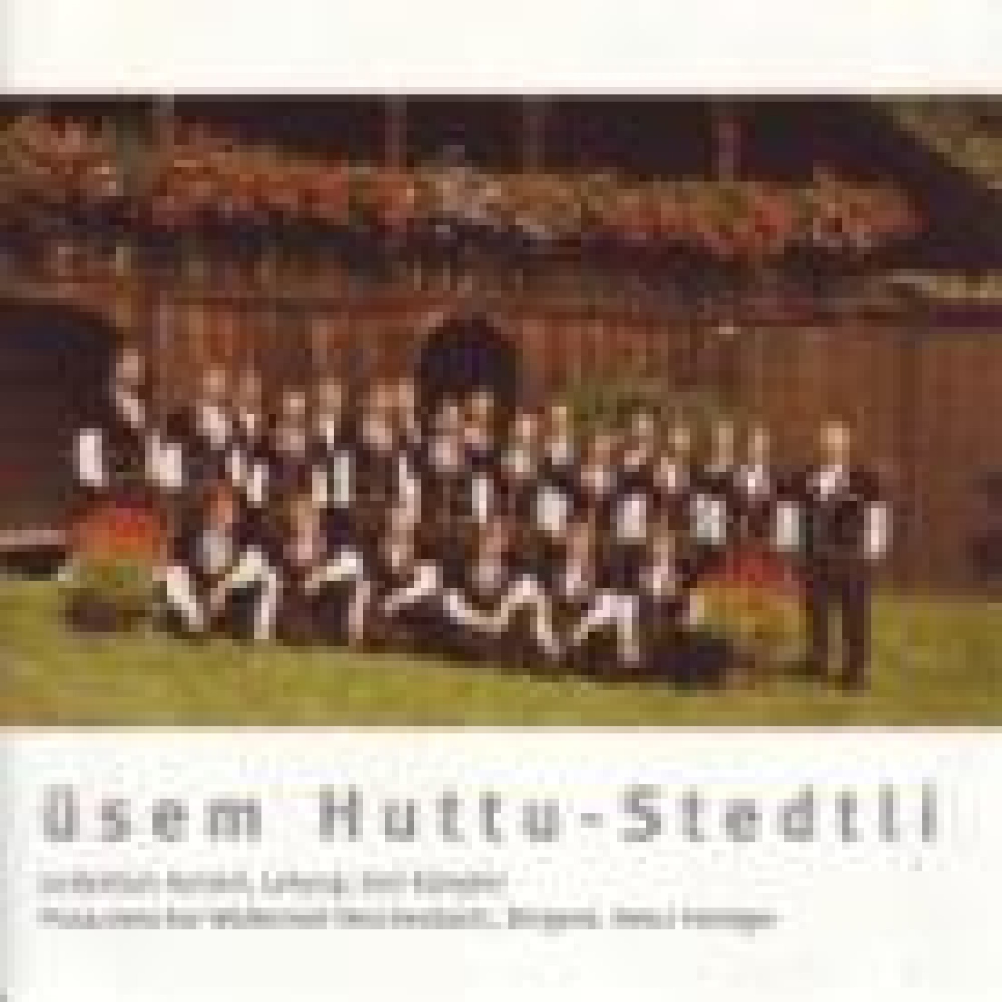 Occ. CD üsem Huttu-Stedtli, Jodlerklub Huttwil Occ. CD üsem Huttu-Stedtli, Jodlerklub Huttwil