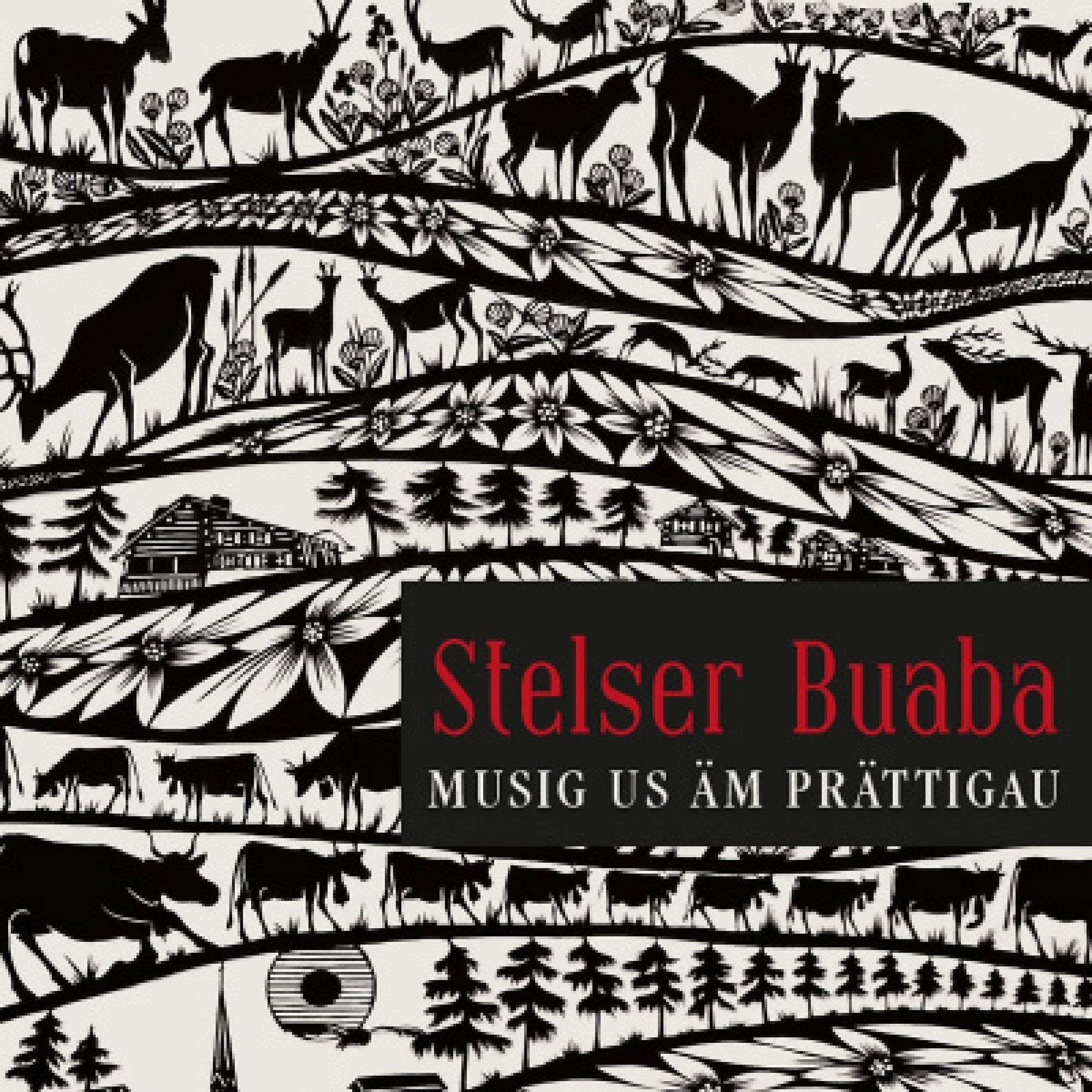 CD Musig us äm Prättigau - Stelser Buaba CD Musig us äm Prättigau - Stelser Buaba