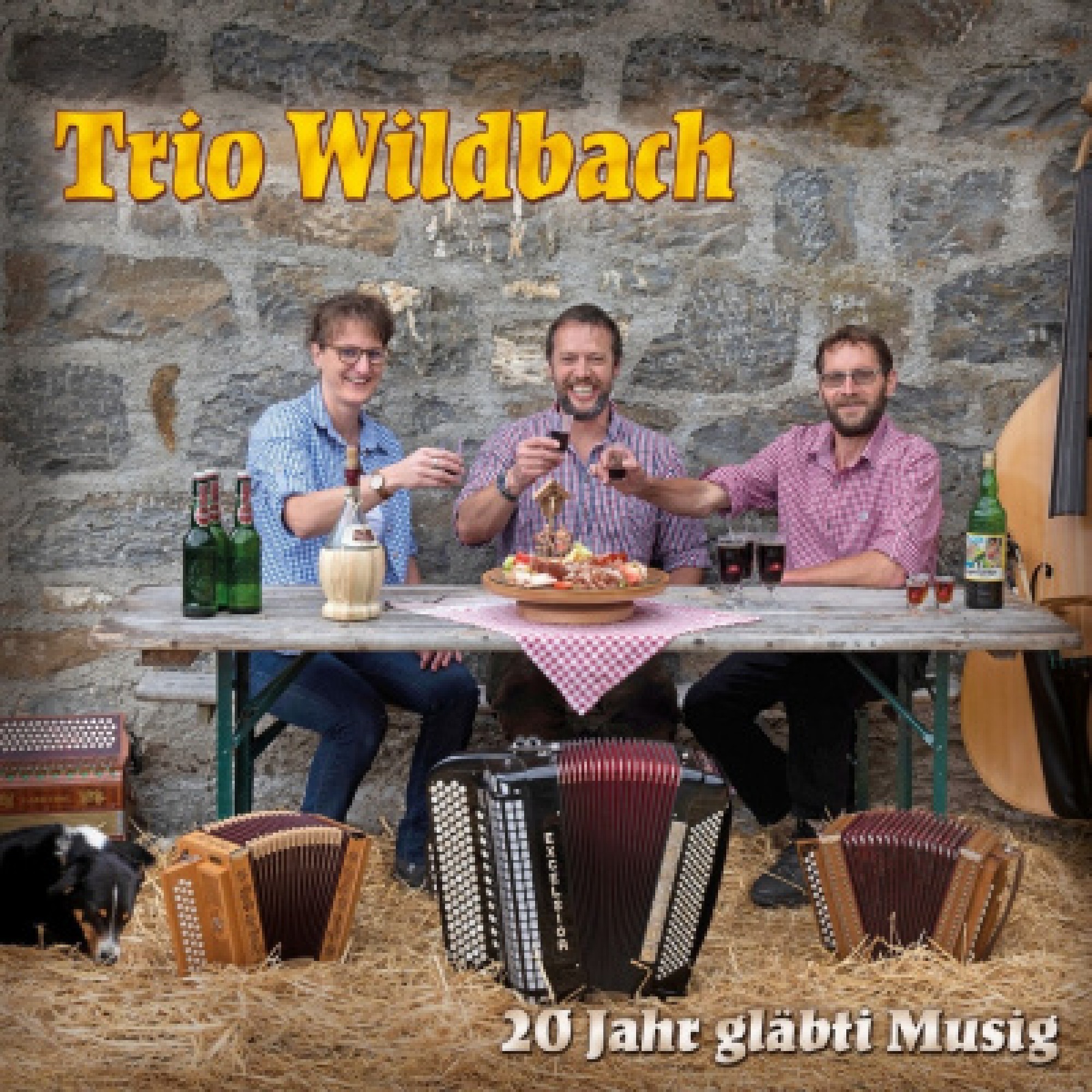 CD 20 Jahr gläbti Musig - Trio Wildbach CD 20 Jahr gläbti Musig - Trio Wildbach