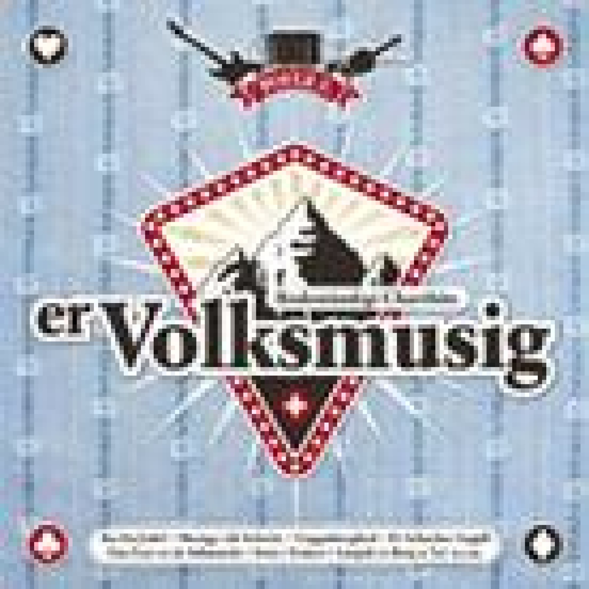 CD Ervolksmusig - diverse CD Ervolksmusig - diverse
