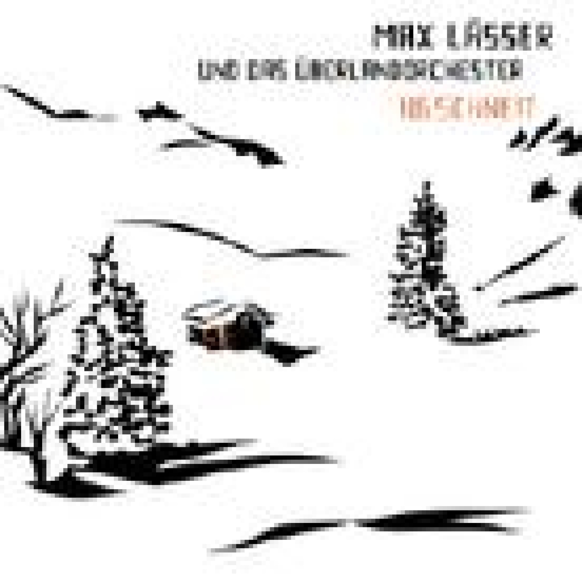 CD Iigschneit - Max Lässer CD Iigschneit - Max Lässer