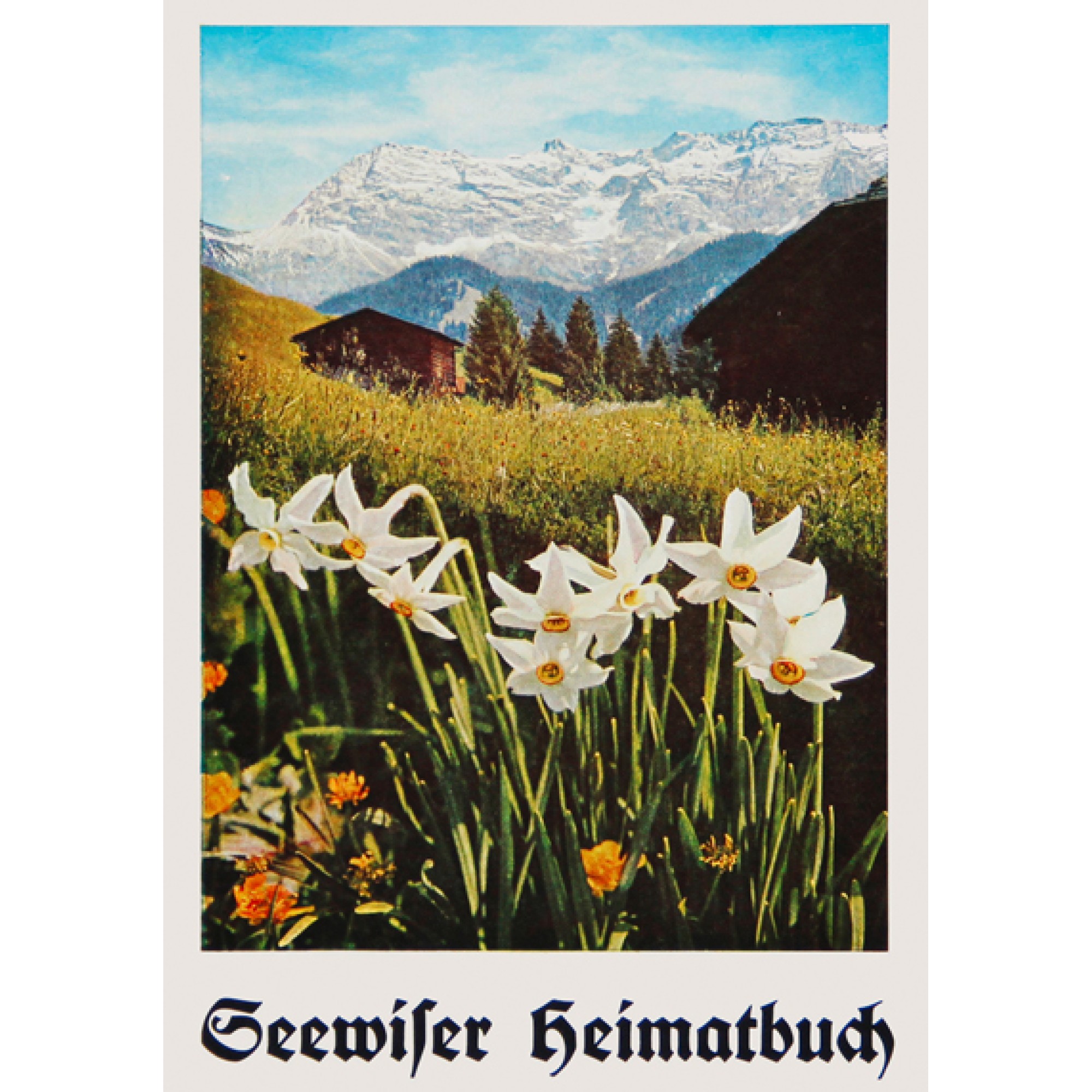 Buch: Seewiser Heimatbuch - J.U. Meng (Jakob Casal-Heldstab) Buch: Seewiser Heimatbuch - J.U. Meng (Jakob Casal-Heldstab)