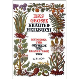 Buch: das grosse Kräuterheilbuch - Johann Künzle
