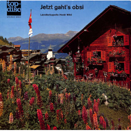 CD LK Heidi Wild, Therese Wirth von Kännel, Heidi Wild-Renato Bui - Jetzt gaht's obsi