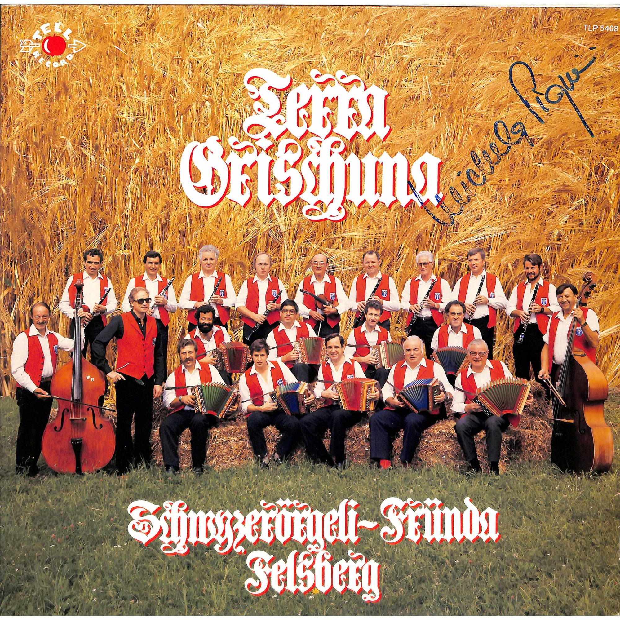 CD 20 Jahre Schwyzerörgeli-Fründa Felsberg - Terra Grischuna - 1984 CD 20 Jahre Schwyzerörgeli-Fründa Felsberg - Terra Grischuna - 1984