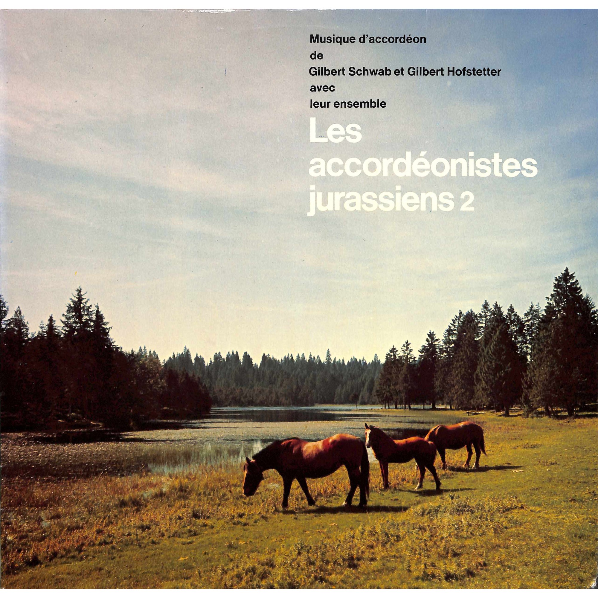 CD-Kopie von Vinyl: Gilbert Schwab & Gilbert Hofstetter - Les Accordeonistes Jurassiens 2 CD-Kopie von Vinyl: Gilbert Schwab & Gilbert Hofstetter - Les Accordeonistes Jurassiens 2