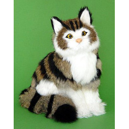 schnusige Katze (graubraunes Tigerli), sitzend