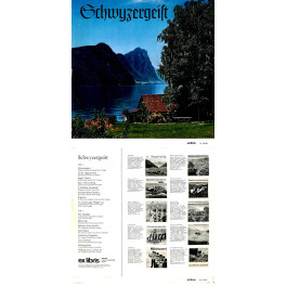CD-Kopie von Vinyl: Schwyzergeist - diverse
