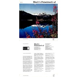 Occ. LP Vinyl: Mach's Feischterli uf - diverse