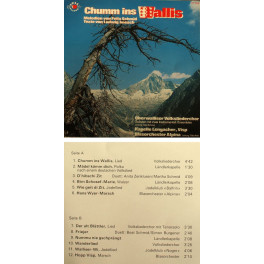 Occ. LP Vinyl: Chumm ins Wallis - diverse