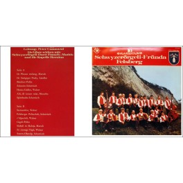 Occ.-LP: 10 Jahre - Schwyzerörgeli-Fründa Felsberg