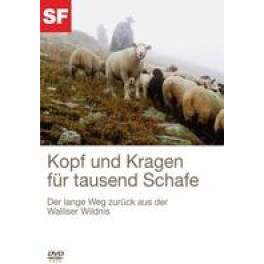 DVD SF Kopf und Kragen für tausend Schafe - Doku aus dem Wallis