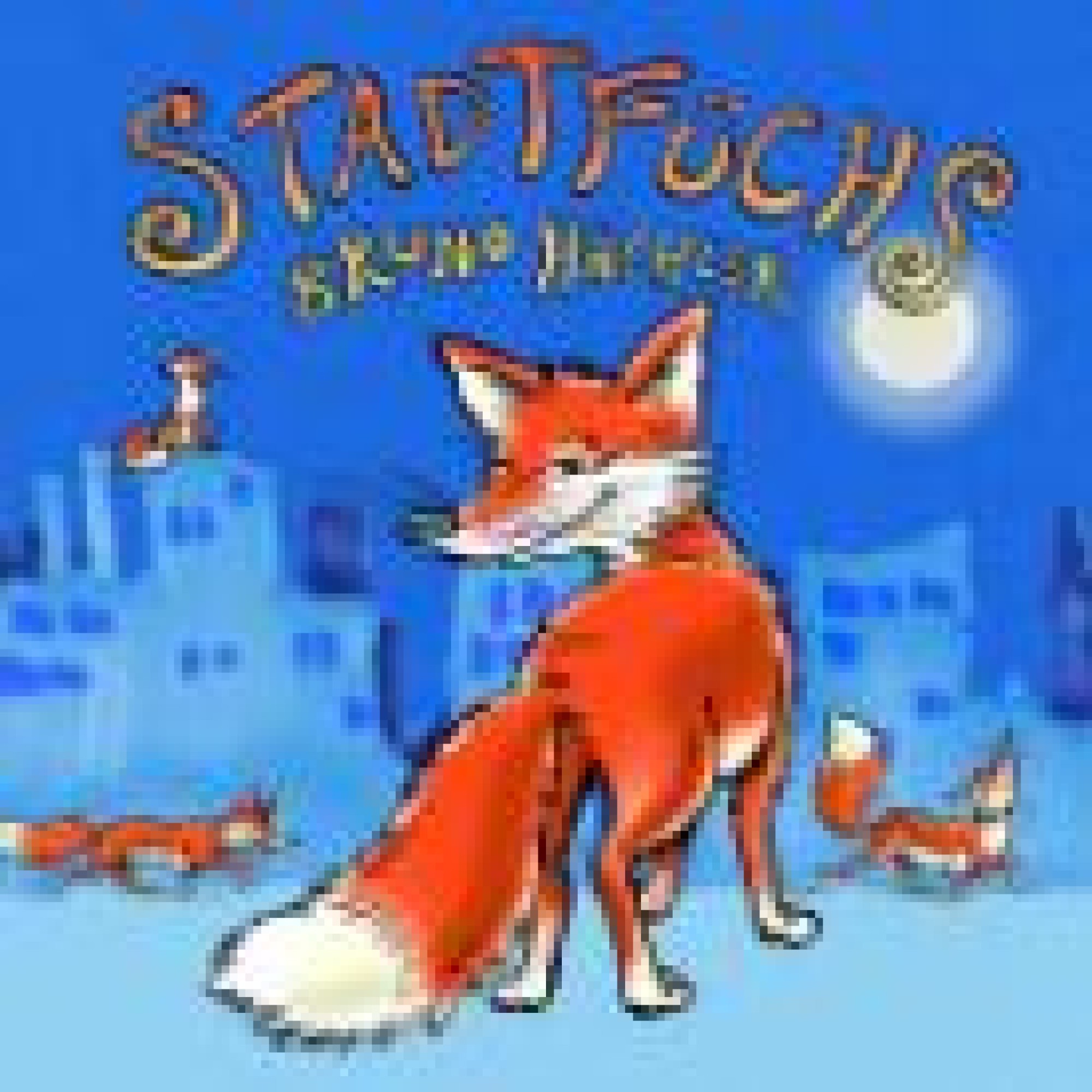 CD Stadtfüchs - Bruno Hächler CD Stadtfüchs - Bruno Hächler