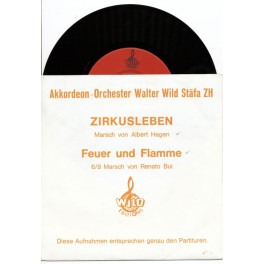Occ. EP Vinyl: Akk.Orchester Walter Wild Stäfa
