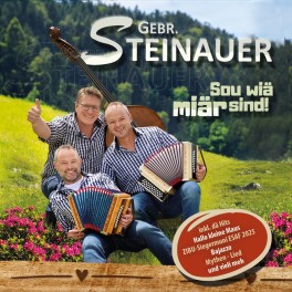 CD Gebr. Steinauer - Sou wiä miär sind!    