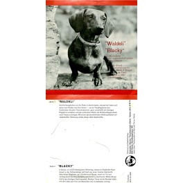 Occ. Single Vinyl: Märliplatte - Waldeli, Blacky