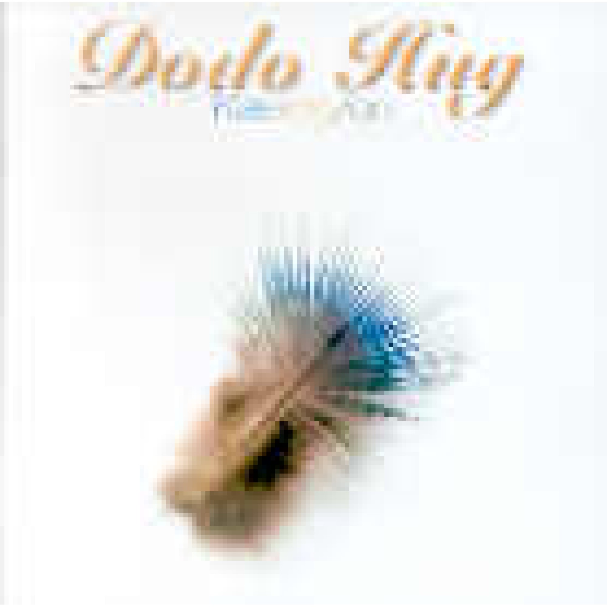 Occ. CD Kaleidofon - Dodo Hug Occ. CD Kaleidofon - Dodo Hug