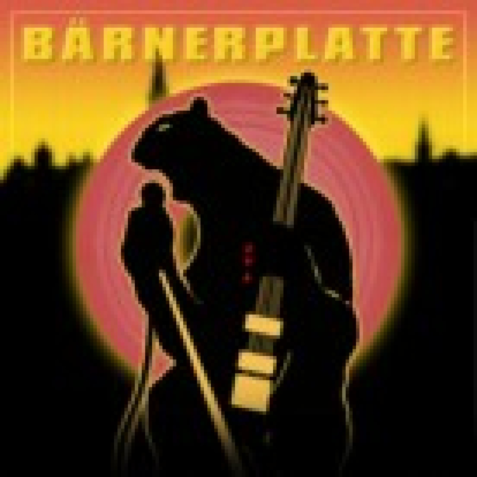 Occ. CD Bärnerplatte - diverse Occ. CD Bärnerplatte - diverse