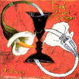 Occ. CD Toad the wet Sprocket - Dulcinea