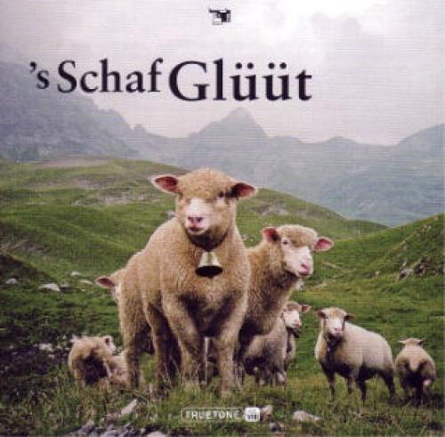 CD 's Schaf Glüüt - Vol. 8